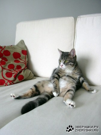 ������ �������� � ������ ;)