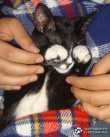 �� ����� �����... ;)