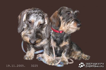 �������� � �������� :)