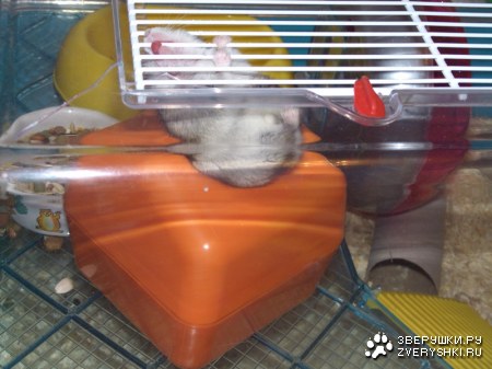 ��������-������!