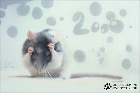 ��� ��, ��� ������� ������ ����! :)