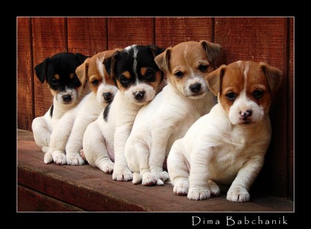 ������ � ��� :)