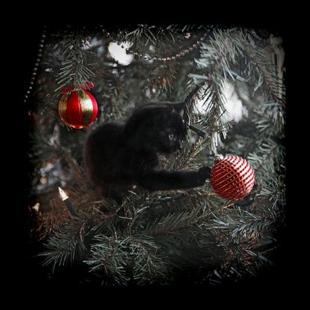 �������� �����! :)