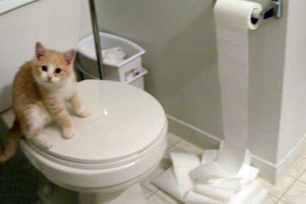 �������� ��������� ������ :)