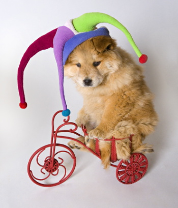 Красивые фотографии от Jima Zuckerman (12 фото)