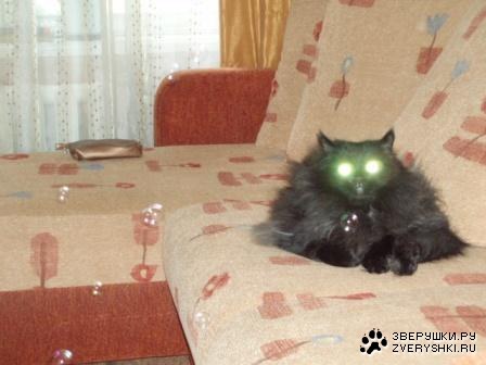 ������� :)