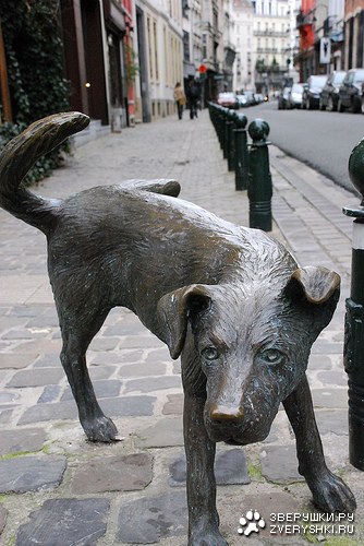 �������� ������ � ��������