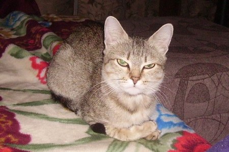 ������ �������� :)