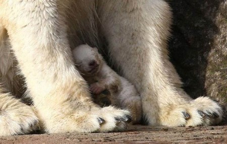 ���� ���� �� ��������������� ��������