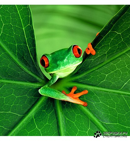 ���������� ��� ���! :)