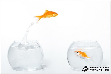 ���� � ����! :)