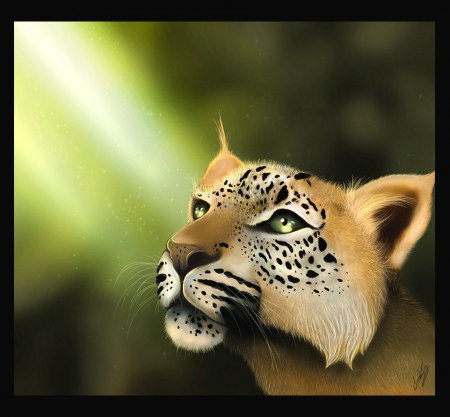 ���������� � ������� �� Sarah Foy (6 ����������)