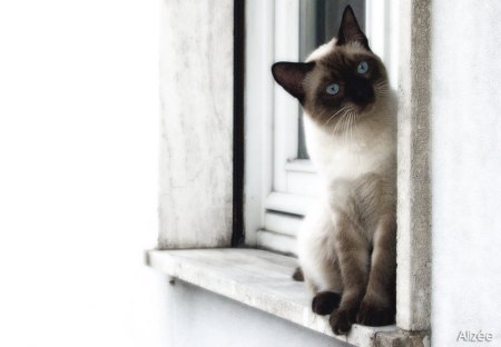 �������� ��� ���! :)