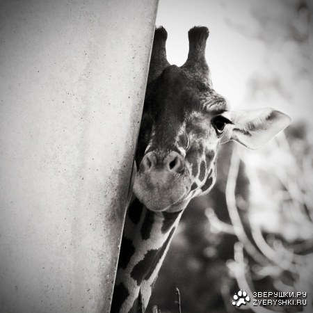 ��-�� ����... :)