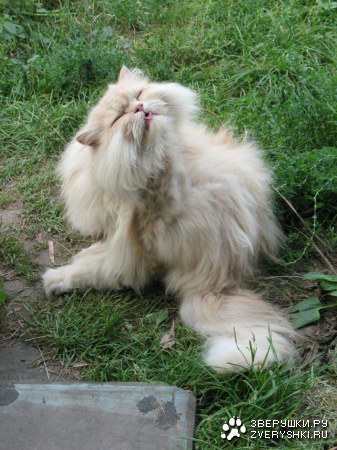 ����� ������ :)