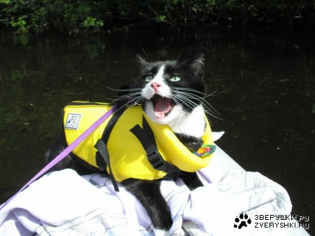 ��������� ������ :)