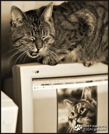 ��������� �� ���� :)