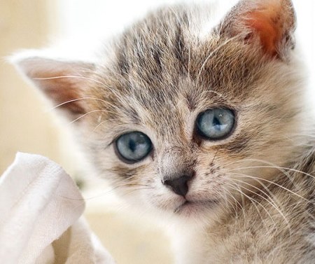 ������� � ������ ��� ������� ������! :)