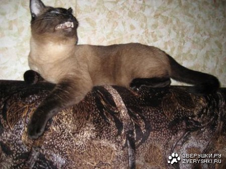 ��� ���� ��� �� ����� :)