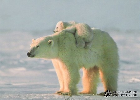 ��������� ;)