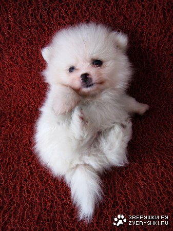 ������� ��� ���! :)