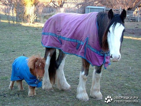 ��� ����� �� �������! :)