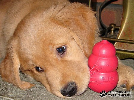 ������� �������� :)