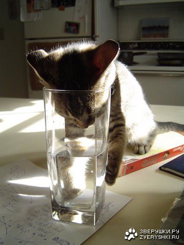 Имидж - ничто, жажда - все :)