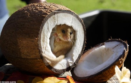 ������� ��� �������� � ������� �������� :)