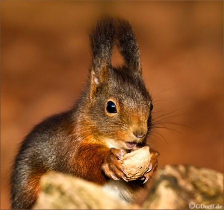 ��������� :)