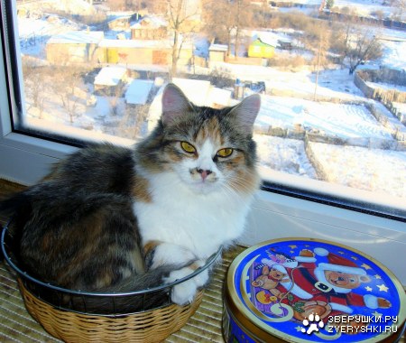 �� ���� ������� ������� :)