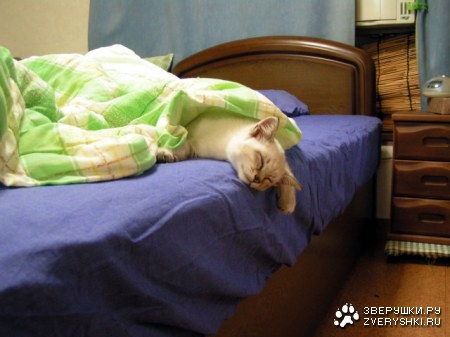 �������� � �� ����... :)