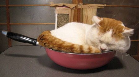 ����� ��������� ������������! :)