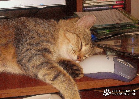 � � ����� ����� :)