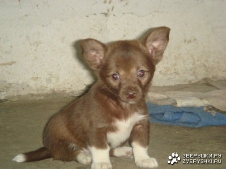 ��� ����� ��� ����� ;)