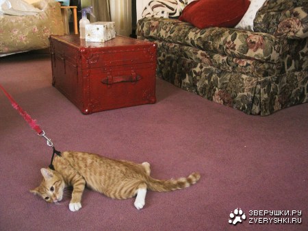 �� ���� ���� ������! � �� ��������! ;)