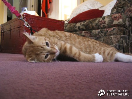 �� ���� ���� ������! � �� ��������! ;)