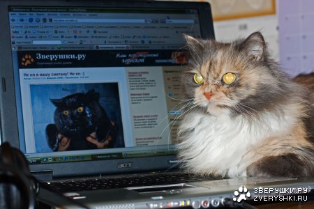 ������� �������� ������ ����� :)