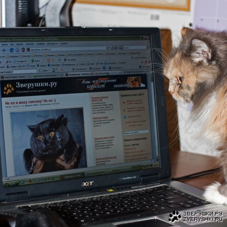 ���� � ����� (10 ����������)