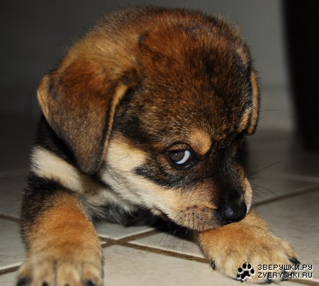 ��� ����� � ������� :)