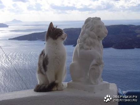 ��� � ����? ;)