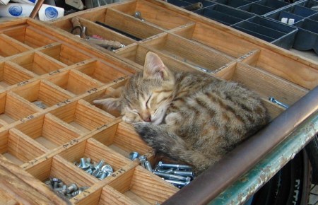 ������ ������...