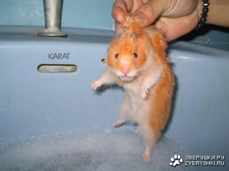 � ����-�� ���� ����������! :)