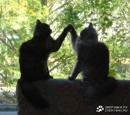 ��� ����! :)