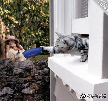 ��, ����� �� ������� ���� ��� ����! :)