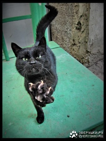 ������� ���! :)