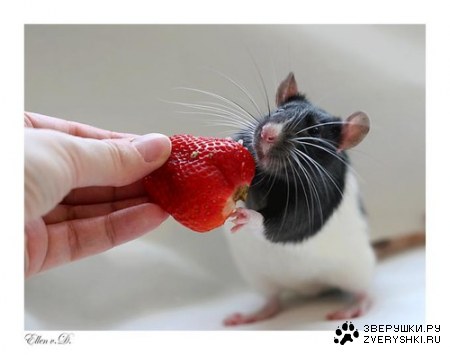 �� �����, ������� ���������! :)