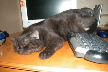 ��� ���� ���������� :)