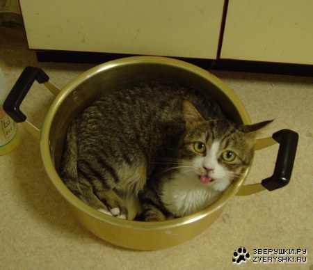 ��������� ��� ��������! :)