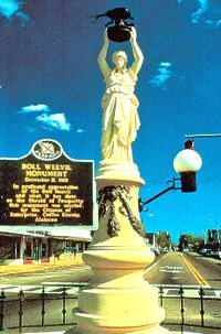 ������ ����